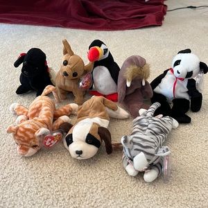 Ty Beanie Baby Lot of 8!